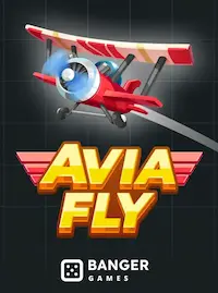 Avia Fly crash at 883V COM